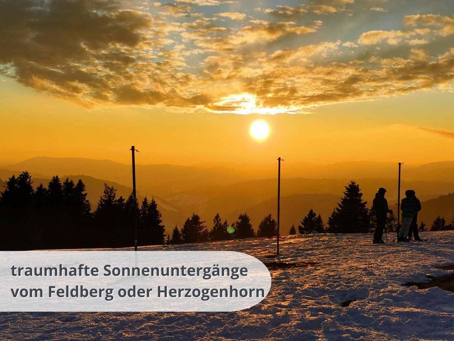 FeWo Feldberg schwarzwaldschick - Top Lage direkt an der Skipiste&Whirlpool Exterior foto